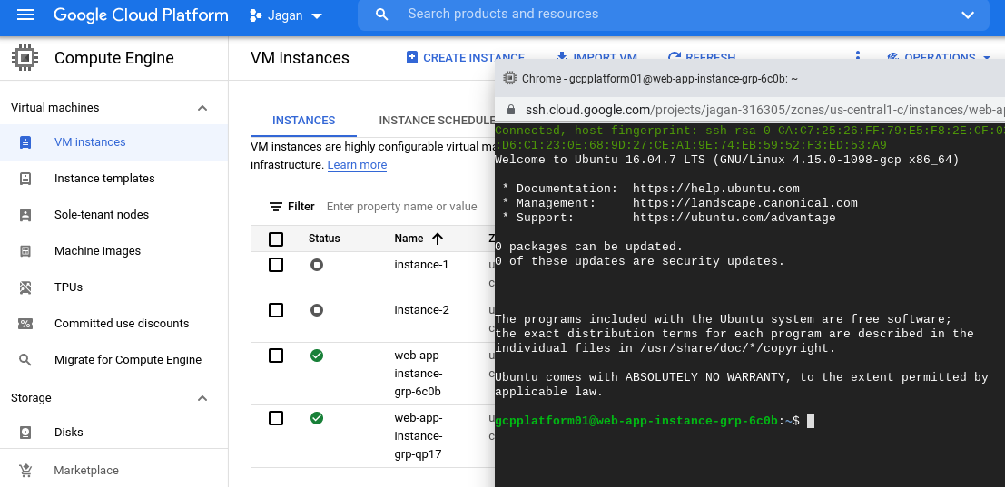 Accessing the instances