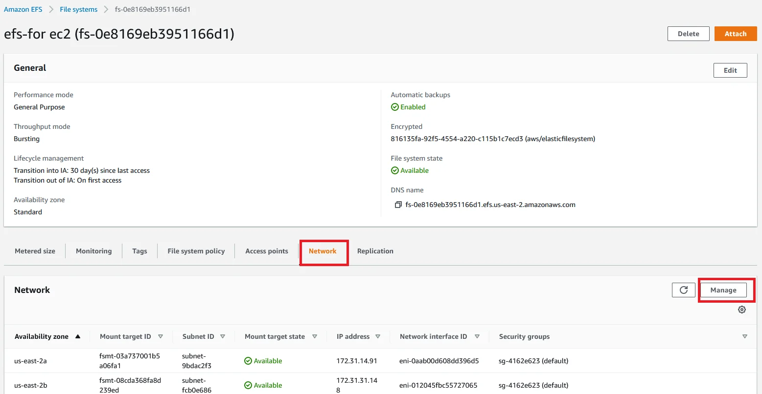 EFS mount with ec2 Manage Networks