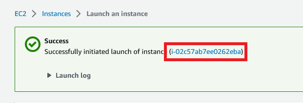 Launch Instance Initiated