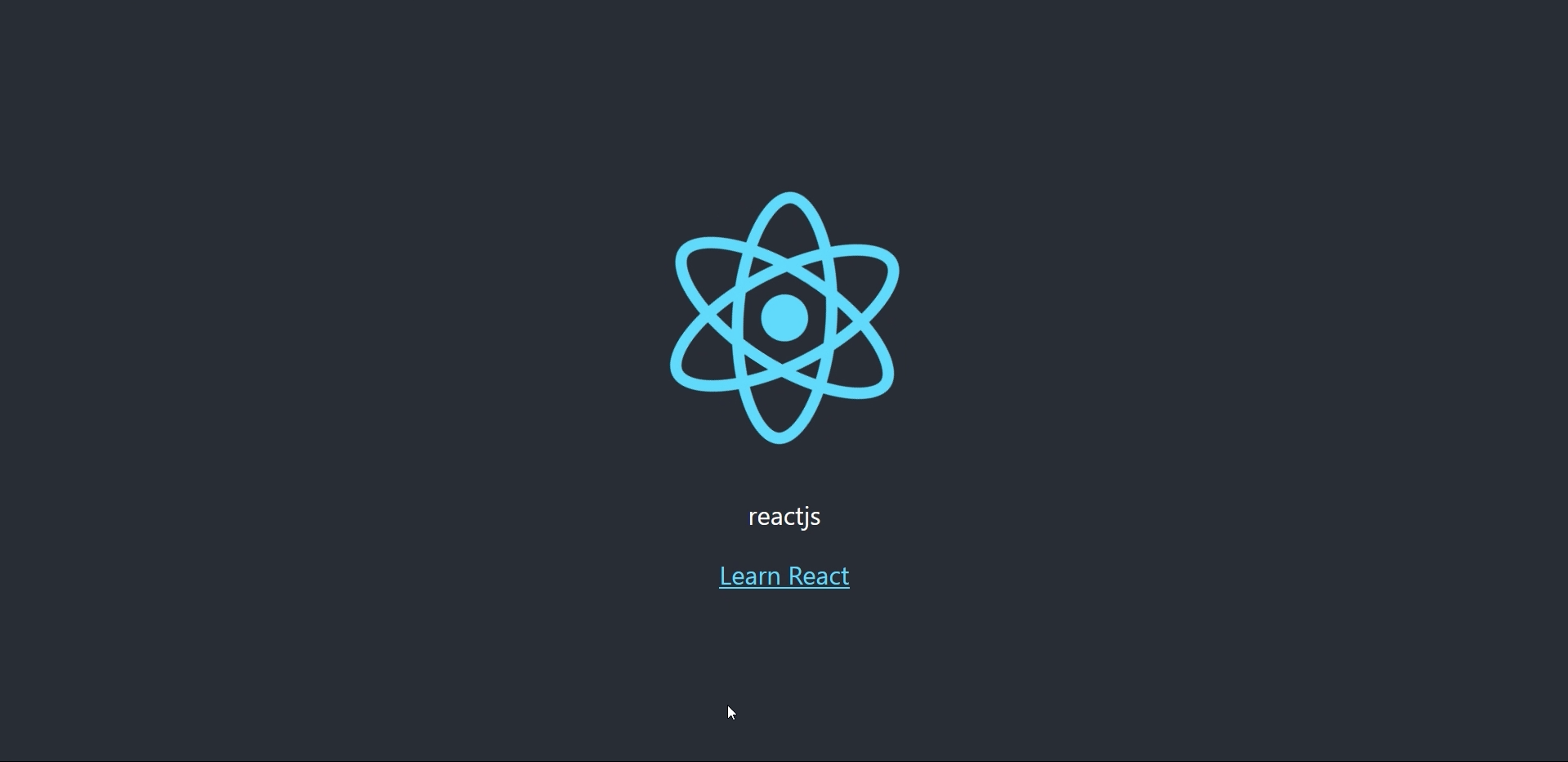 React js app