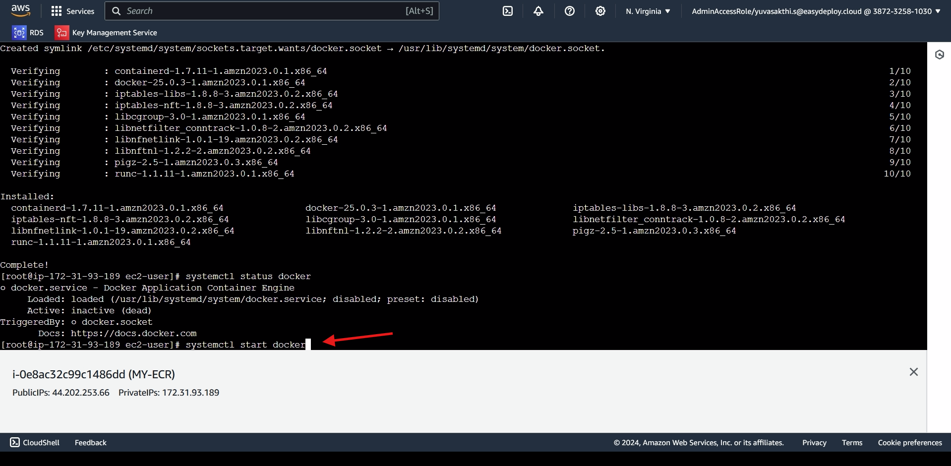 Starting Docker