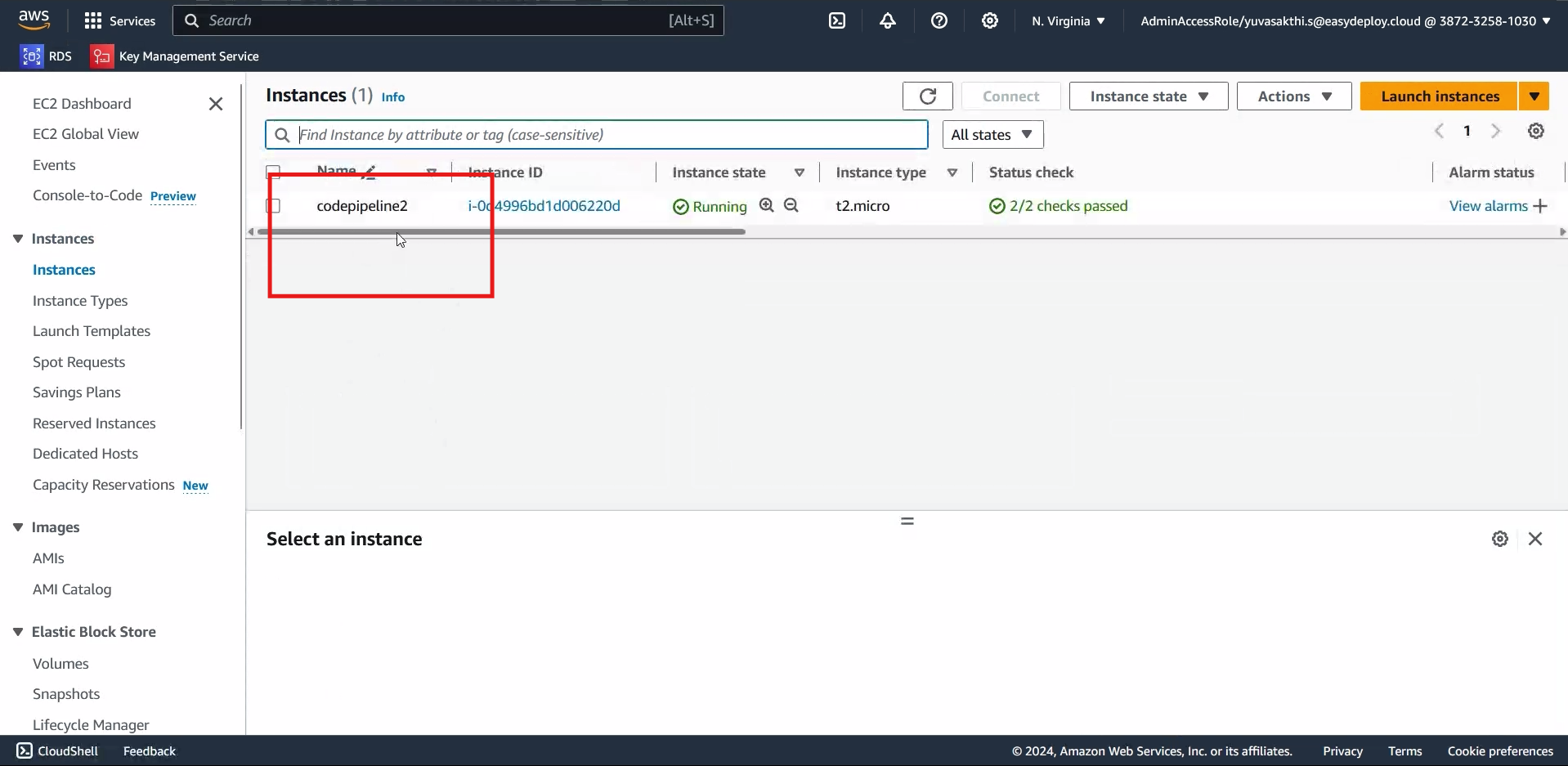 Instance name